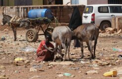 ismail-salad-osman-hajji-dirir-IbmLlqMCD-c-unsplash ismail-salad-osman-hajji-dirir-IbmLlqMCD-c-unsplash