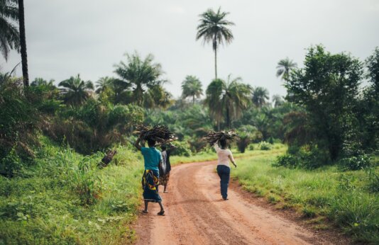 annie-spratt-wtk4VH8EU20-unsplash annie-spratt-wtk4VH8EU20-unsplash