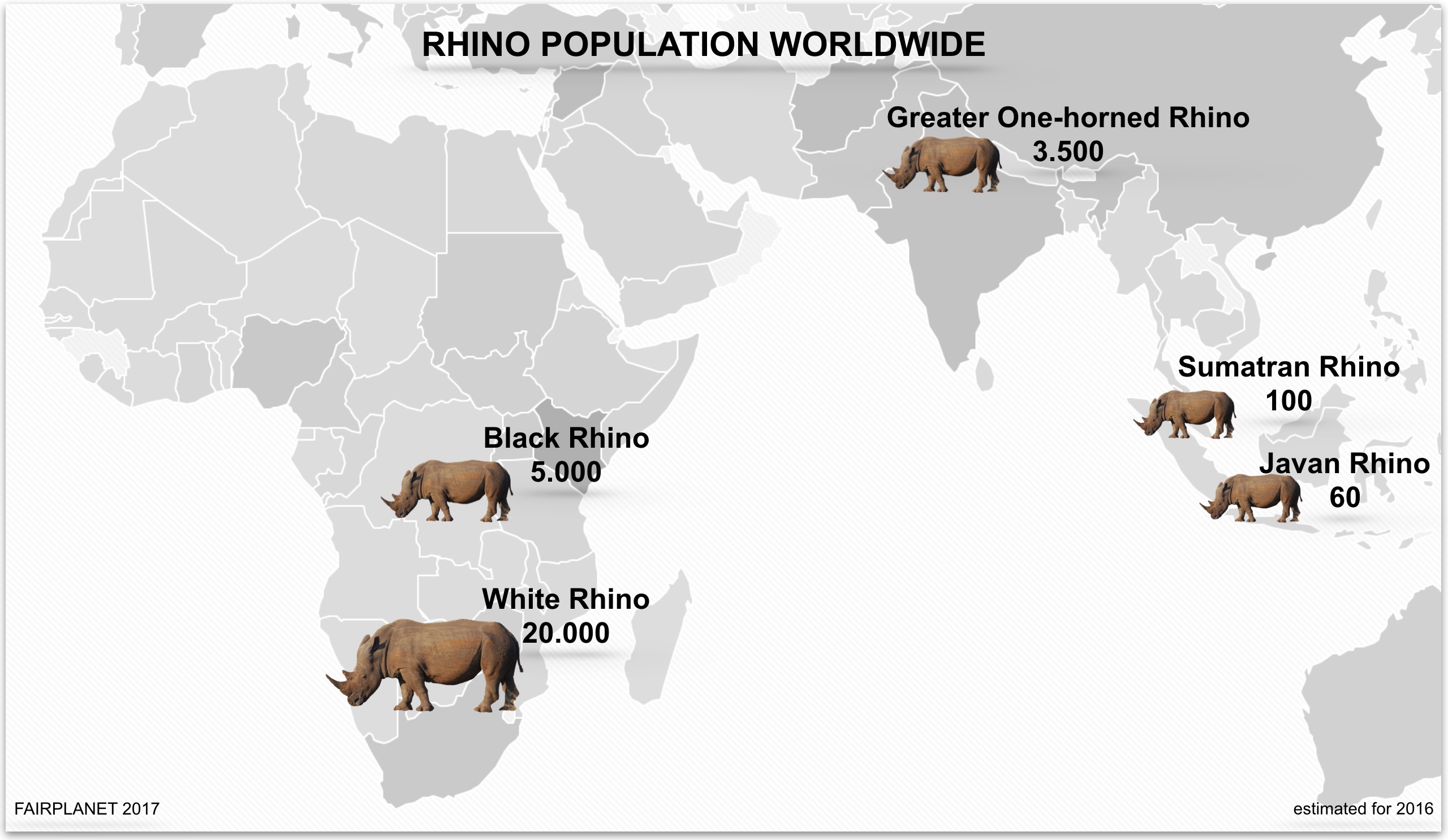 Time is running out Can we save the Rhino? Read